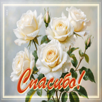 Жемчужная гиф-открытка Спасибо