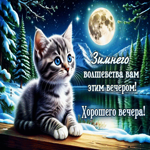 Зимнего волшебства вам этим вечером! Хорошего вечера