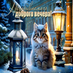 Postcard зимняя открытка с котом незабываемого доброго вечера