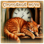 Живая милая гиф-открытка Спокойной ночи