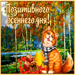 Живая открытка с котиком Позитивного осеннего дня