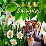 Picture жизнелюбивая открытка с тигром отличных выходных