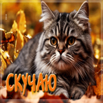 Золотистая осенняя гифка Скучаю