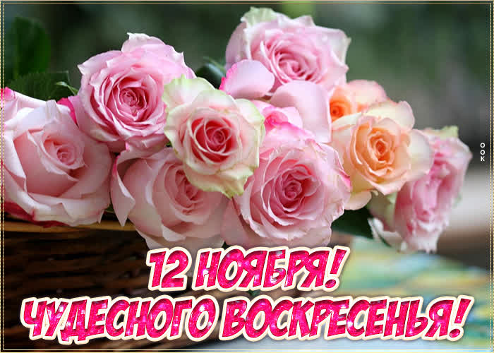 Picture 12 ноября