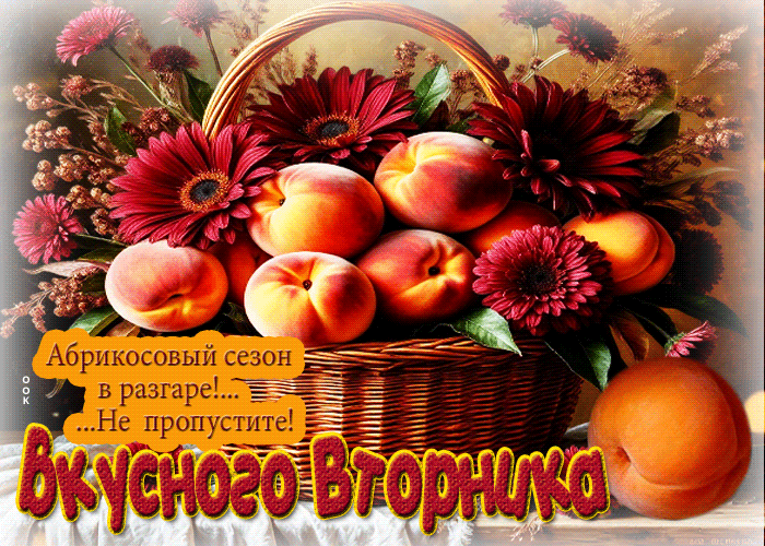 Postcard абрикосовый сезон в разгаре! не пропустите! вкусного вторника!