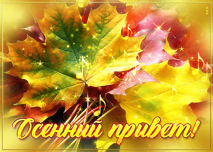 Postcard анимационная открытка с листьями осенний привет!