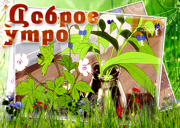Открытка анимационная открытка доброе утро с цветочками