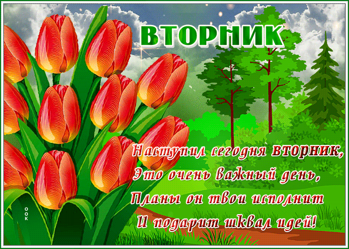 Картинка анимированная открытка вторник с тюльпанами