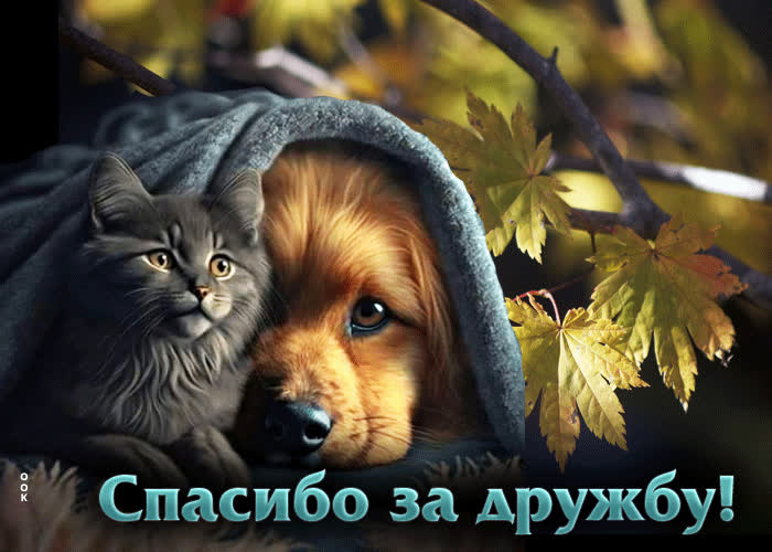 Postcard атмосферная гиф-открытка с щенком и котенком спасибо за дружбу
