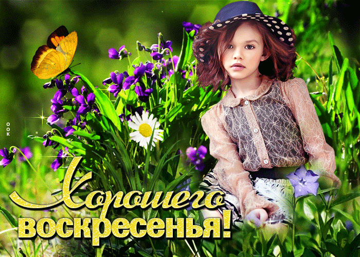 Picture атмосферная открытка с цветочками хорошего воскресенья!