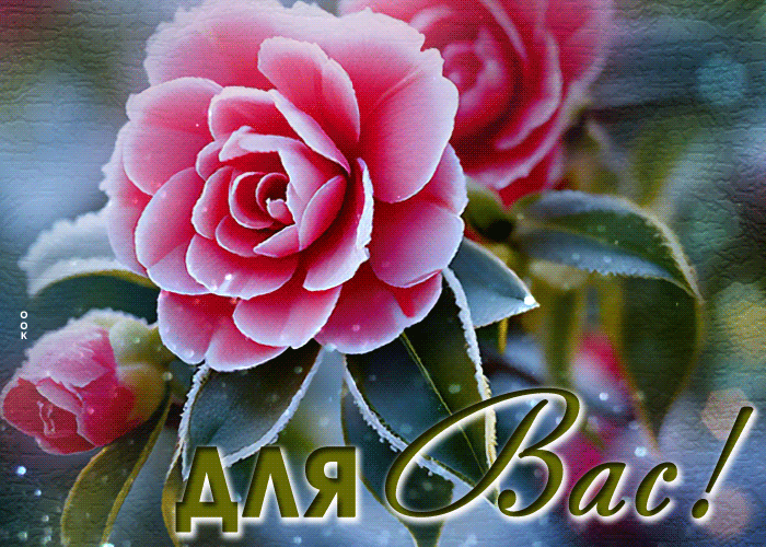 Postcard безупречная и загадочная гиф-открытка с розой для вас