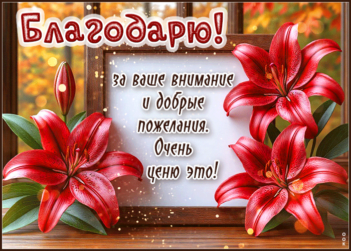 Picture благодарю за ваше внимание и добрые пожелания