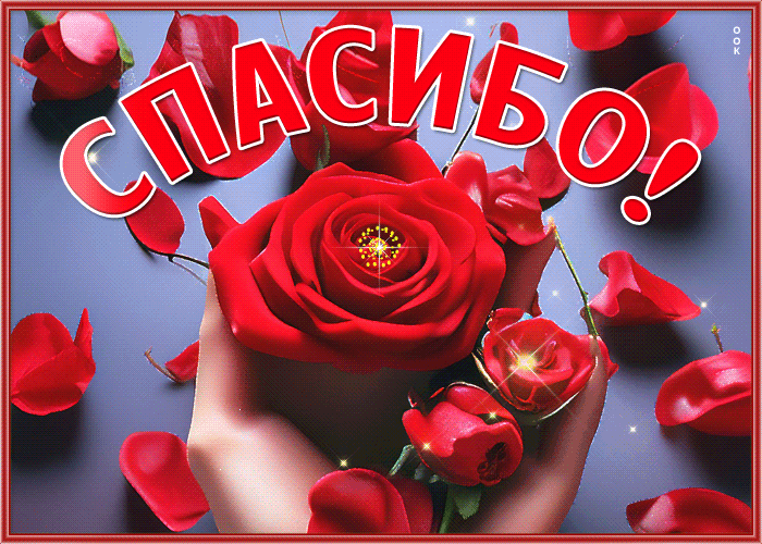 Postcard благородная открытка с красными розами спасибо
