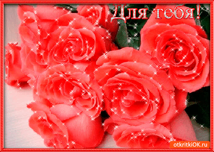Картинка букет шикарных красных роз