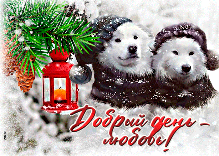Postcard чарующая открытка добрый день - любовь! с красивыми собаками