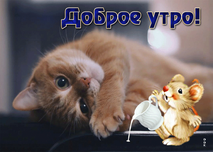 Postcard чарующая открытка с кошкой и мышкой доброе утро