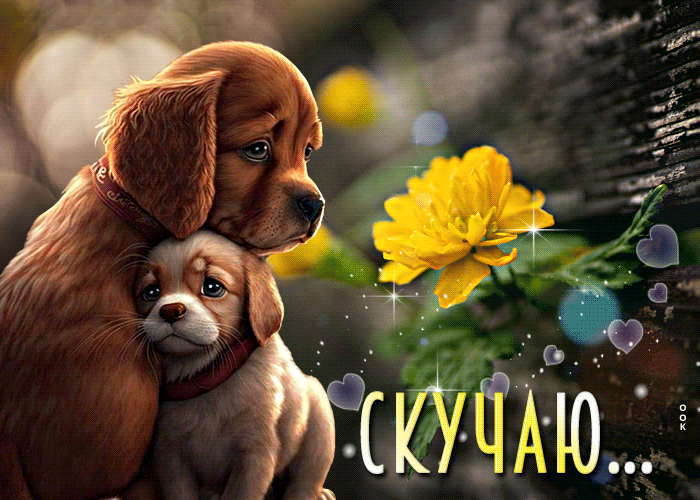 Picture чарующая открытка с собакой и щенком скучаю