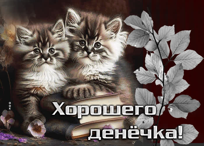 Postcard чудесная анимационная открытка с котятами хорошего денечка!