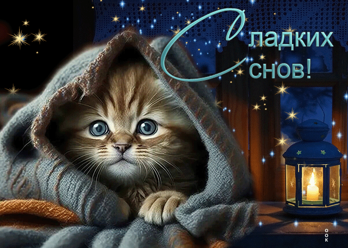 Picture чудесная и сердечная гиф-открытка с котиком сладких снов