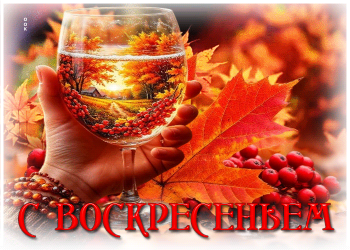 Postcard чудесная и вдохновляющая осенняя гифка с воскресеньем