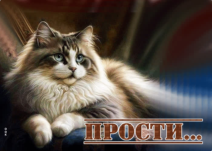 Чудесная открытка с красивой кошкой Прости. - Скачать бесплатно на ...
