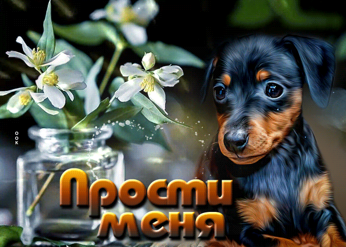 Picture чудесная открытка с маленькой собачкой прости меня