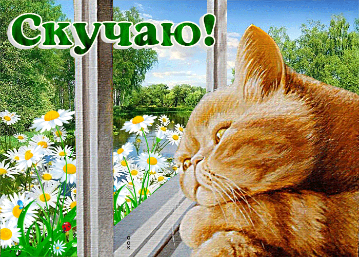 Picture чудесная открытка с рыжим котом скучаю