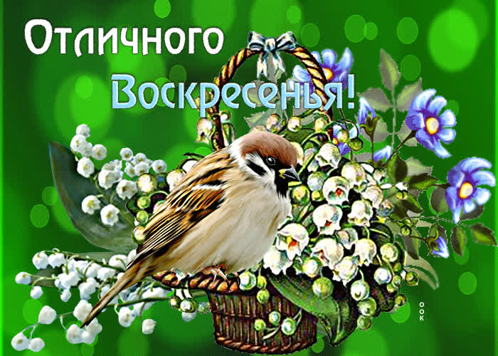 Picture чудесная открытка с воробьем и цветами отличного воскресенья