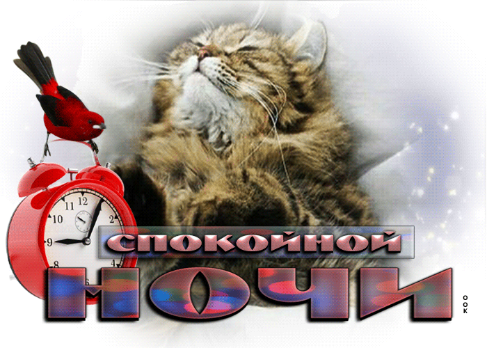 Postcard чудесная открытка спокойной ночи! с котиком и птичкой