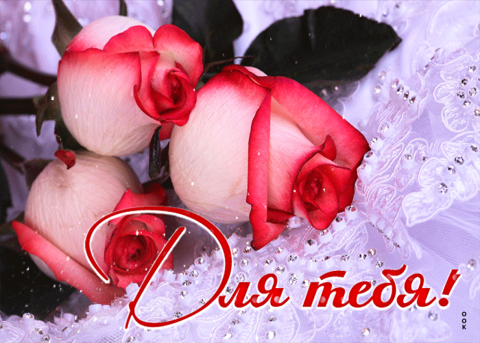 Picture чудесная снежная открытка с розами для тебя