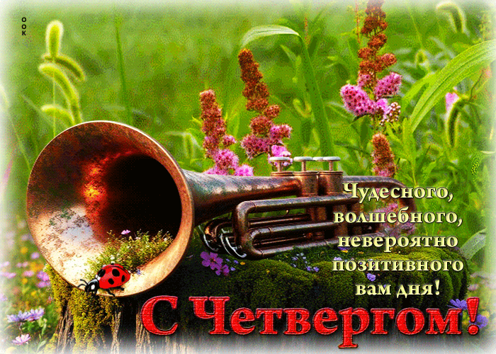 Picture чудесного, волшебного, невероятно позитивного вам дня