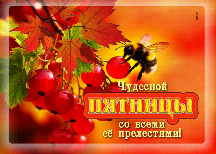 Picture чудесной пятницы со всеми ее прелестями