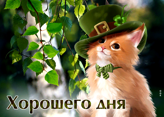 Postcard чувственная открытка с котиком хорошего дня!