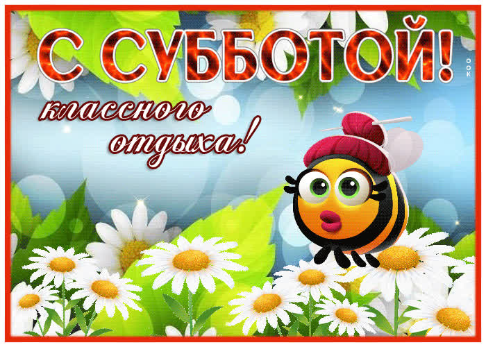 Picture цветастая открытка с пчелкой с субботой! классного отдыха!