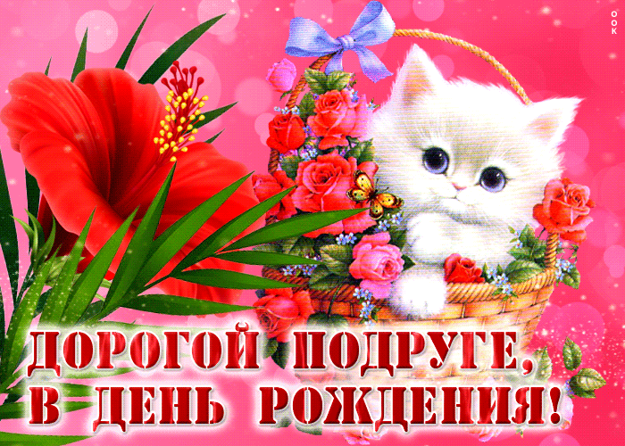 Postcard цветная открытка с котенком дорогой подруге в день рождения!