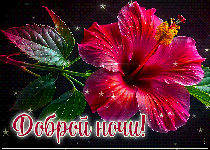 Picture цветущая, благоухающая открытка доброй ночи