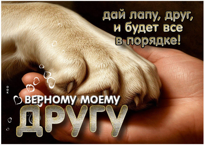 Picture дай лапу, друг, и будет все в порядке! верному моему другу