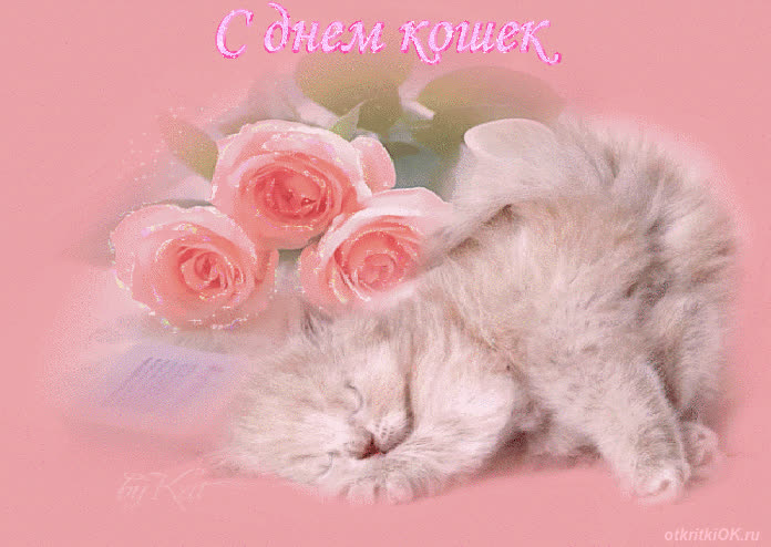 Картинка день кошек в россии