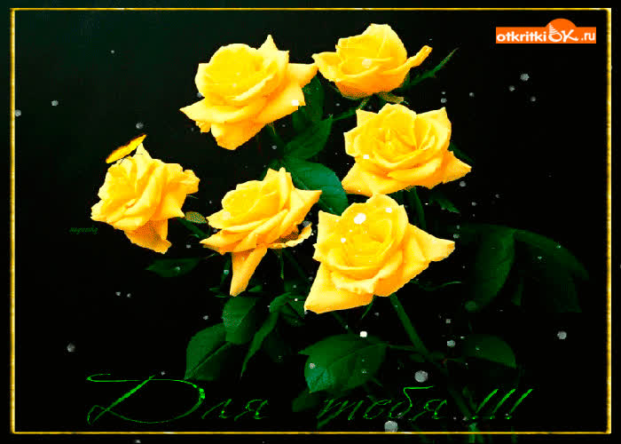 Картинка для тебя жёлтые розы