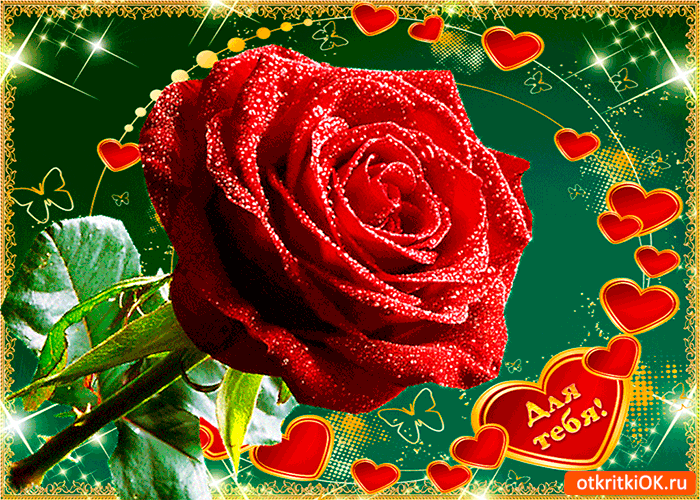 Открытка для тебя роза красная