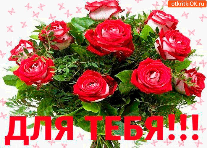 Днем, картинки букетов роз с надписью тебе родная