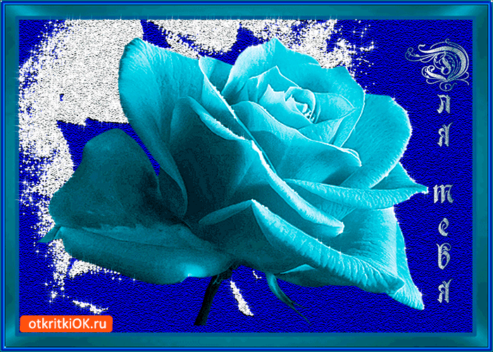 Открытка для тебя синяя роза