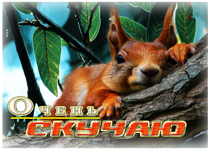 Postcard добрая гиф-открытка очень скучаю