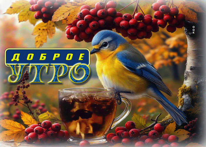 Picture добрая и чудесная осенняя гифка доброе утро