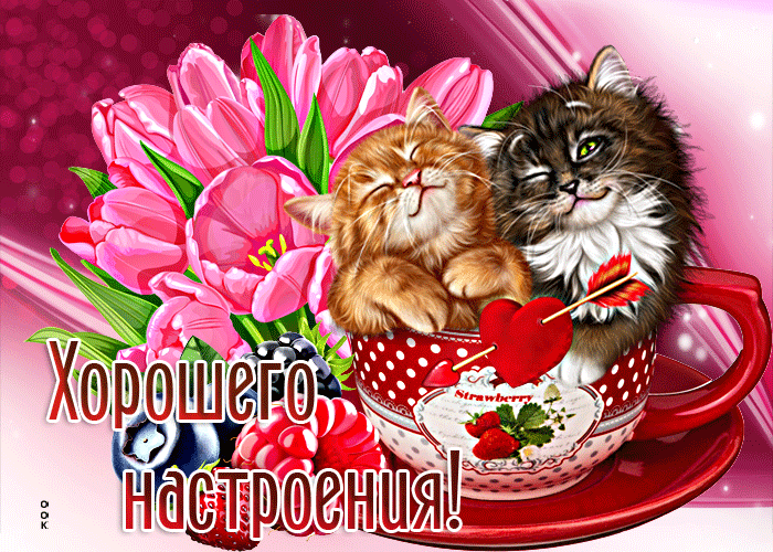 Postcard добрая открытка с котиками хорошего настроения!