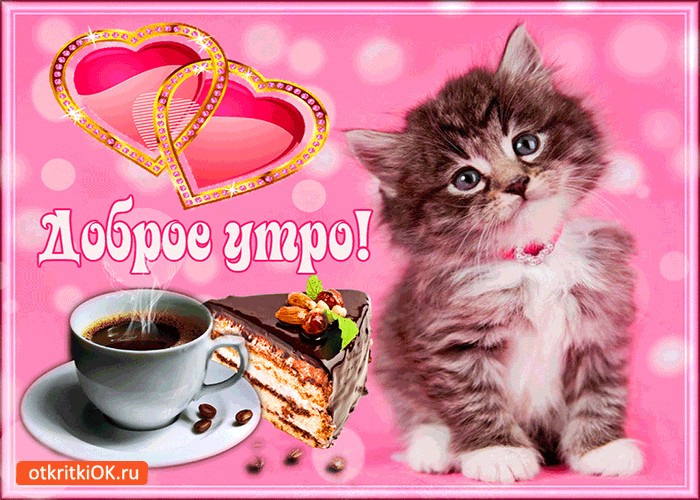 Открытки доброе утро животные, забавные животными день