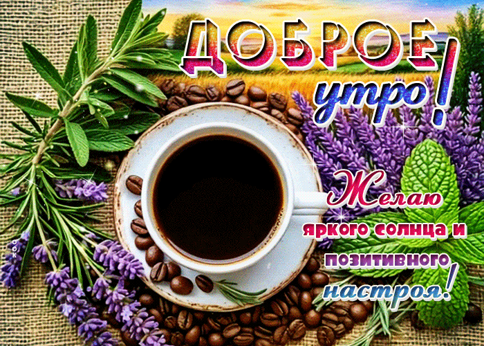 Postcard доброе утро! желаю яркого солнца и позитивного настроя!