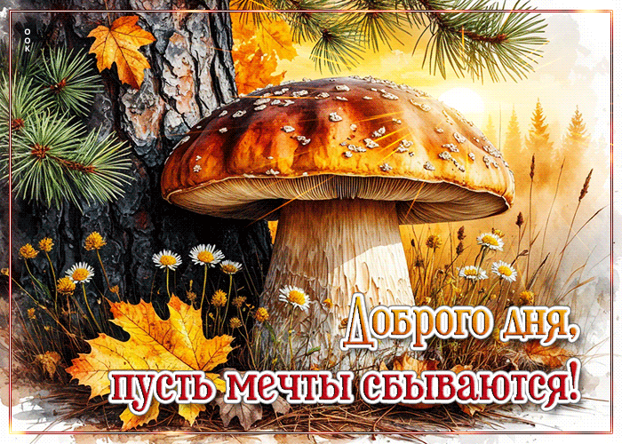 Picture доброго дня, пусть мечты сбываются