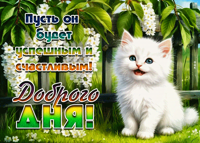 Picture доброго дня! пусть он будет успешным и счастливым