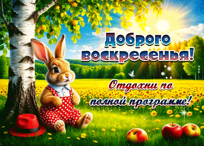 Postcard доброго воскресенья! отдохни по полной программе